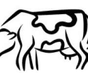 Centrum Usług Rolniczych Farm Service