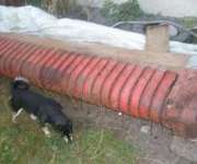 podbieracz do bizona