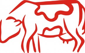 Korekcja Racic!!!!!!