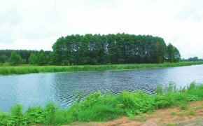 Sprzedam atrakcyjne gospodarstwo rolne 1ha