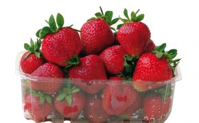 truskawki, pszenica, rzepak, kukurydza