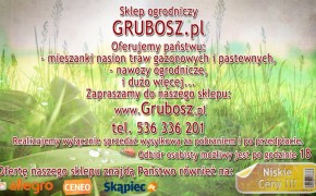 Trawa ogrodowa + Nawóz do trawnika na działkę 1000m kw.