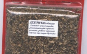 Jeżówka korzenie, ziele z certyfikatem ekologicznym