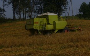 Class Dominator 80 - kombajn zbożowy + szarpacz