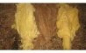 liscie tyton doskonala jakosc