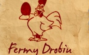 Odchowam kurę nioskę