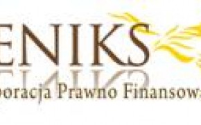 ODSZKODOWANIA ZA LINIE PRZESYŁOWE (SŁUŻEBNOŚĆ)