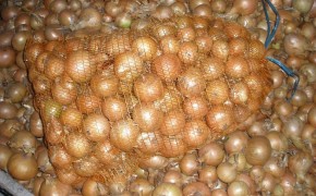 Cebulę sprzedam....Gotowa do odbioru