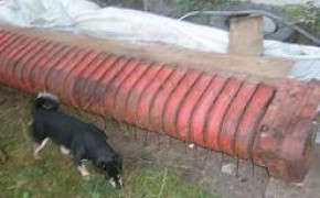 podbieracz do bizona