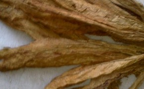 Sprzedam liście tytoniu POLECAM!!!