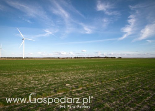 XIII Mazowieckie Dni Rolnictwa