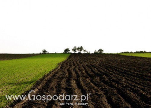 Konferencja „50 lat Wspólnej Polityki Rolnej - dobre wczoraj, lepsze jutro”