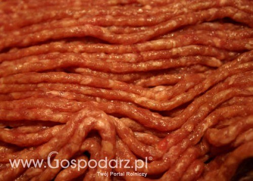 USA – Mielona wołowina pod lupą