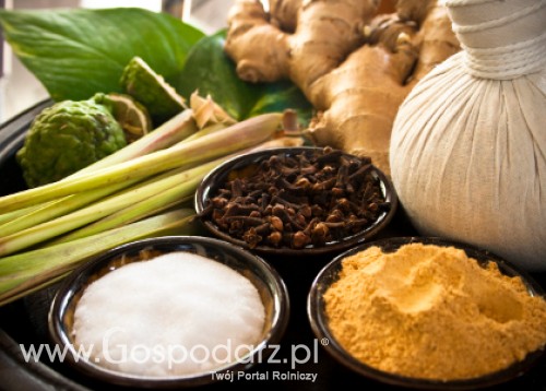 Nadwyżka produkcyjna cukru w nadchodzącym sezonie wyniesie ponad 10 mln ton