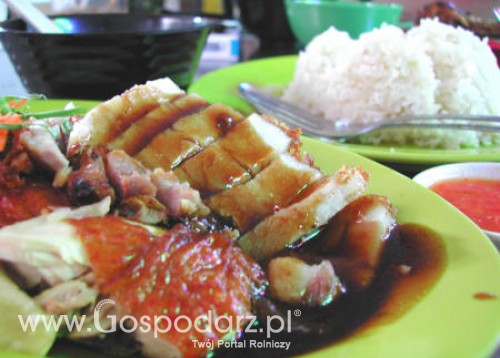 Europie zabraknie pożywienia?