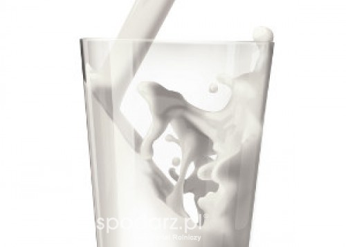 Wzrost produkcji unijnego mleka