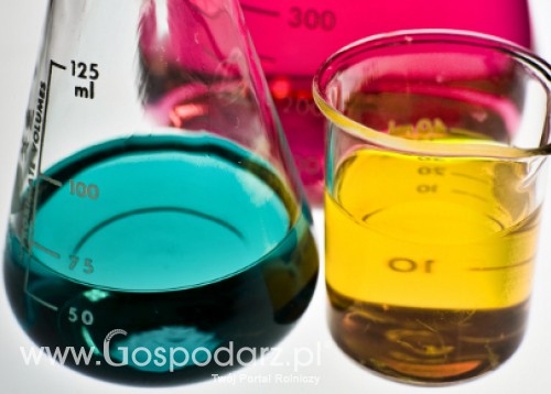 Mięso z próbówki? Czy to możliwe?