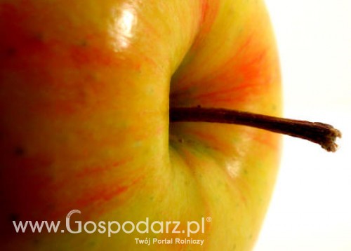 Zwiększy się produkcja polskich przetworów owocowych oraz soków