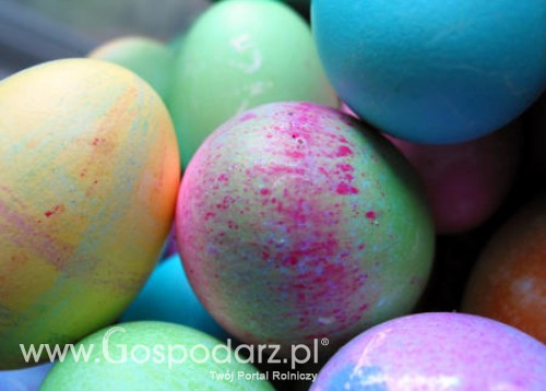 Bułgaria – Zbojkotują wielkanocne jajka?