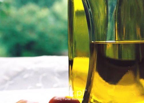 Olej rydzowy i z pestek winogron zyskają uznanie konsumentów?