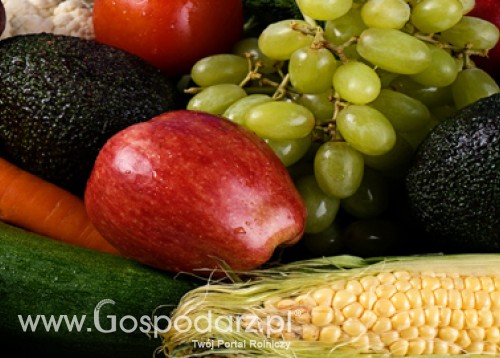 Propozycja Komisji odnośnie tymczasowych wyjątkowych środków wsparcia w sektorze owoców i warzyw,