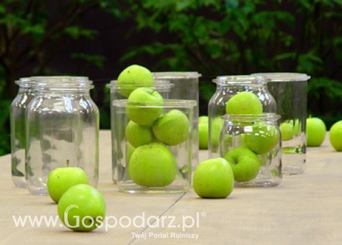 Informacja zbiorcza o wynikach kontroli planowej w zakresie realizacji zaleceń pokontrolnych