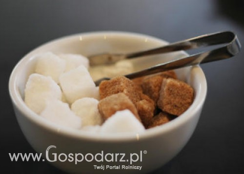 Brazylia – Niezwykle słabe polny trzciny cukrowej