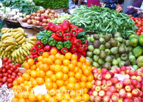 Rosja – Wzrost importu owoców i warzyw