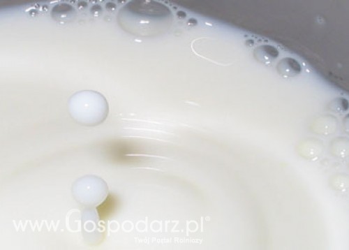 Kongres Branży Mleczarskiej „Chiny, nowe możliwości polskiego eksportu”, Warszawa, 19 czerwca 2012