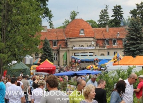 Relacja z XX Targów Rolniczych Lubniewice 2011