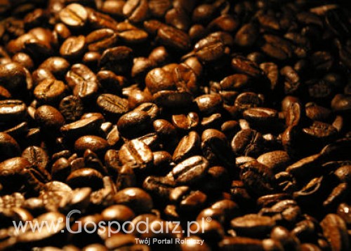 Tańsza kawa, ale tylko na giełdach