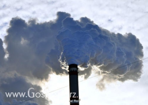 Skażenie powietrza w Ameryce Północnej niszczy europejską pszenicę