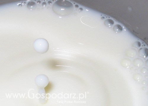 Produkcja mleka na świecie rośnie