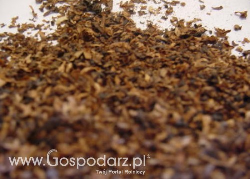 Spotkanie z przedstawicielami producentów tytoniu