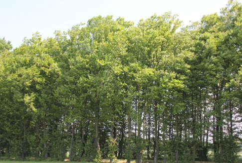 Zmiana podziału środków PROW 2007 - 2013