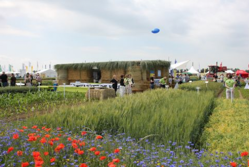 Chiny – Upragnione opady zbawieniem dla upraw kukurydzy