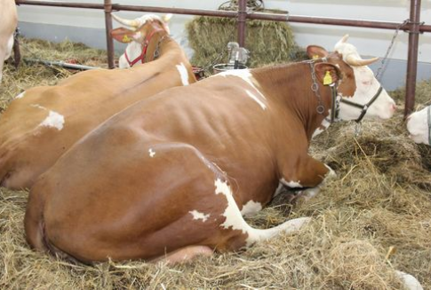 Zmiany w systemie przeprowadzenia testów na BSE