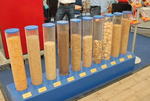 Kukurydza nasienna w UE 27