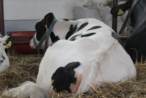 Spotkanie z delegacją Chińskiej Republiki Ludowej