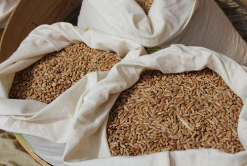 Ceny zbóż na giełdach światowych (4.12.2012)