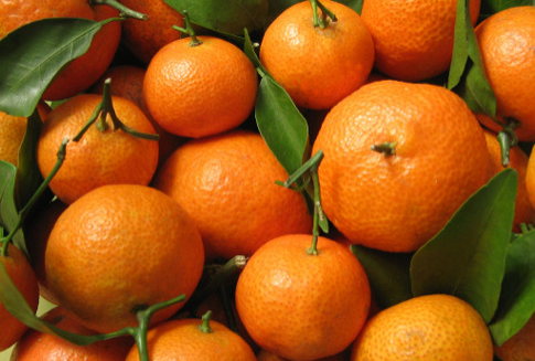 Niższe zbiory unijnych mandarynek