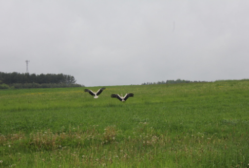 Ponad 36,5 miliarda złotych wypłaciła ARiMR z PROW 2007-13. Polska jest liderem realizacji Programu w Unii Europejskiej.
