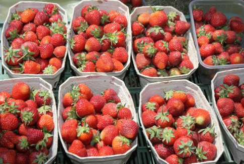 Spadek cen truskawek, wzrost cen malin
