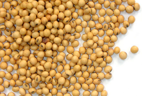 Światowy rynek soi (sezon 2012/2013)