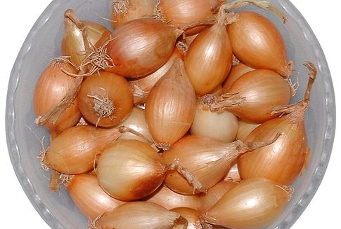 Spadek eksportu polskiej cebuli