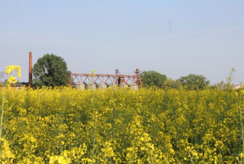 Oleiste na giełdach światowych – podsumowanie tygodnia (28.01.2013)