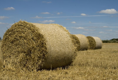 W Bawarii ruszyła pilotażowa instalacja do produkcji etanolu ze słomy