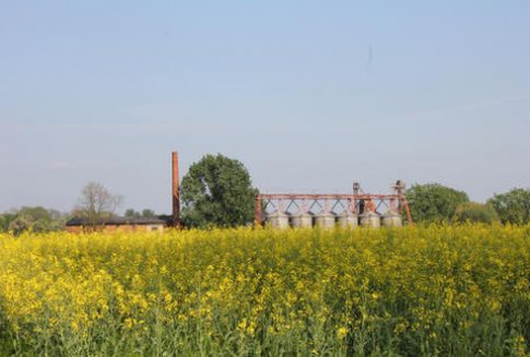 Ceny oleistych na giełdach światowych - 21.08.2012
