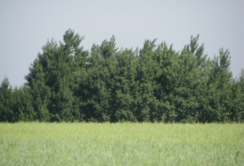 Obrót ziemią rolną - obawy Izb