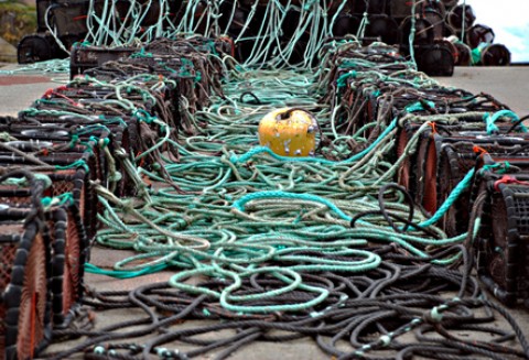 Będą pieniądze na inwestycje w nadmorskich portach, przystaniach, miejscach wyładunku, poprawiające m.in. jakość produktów rybnych